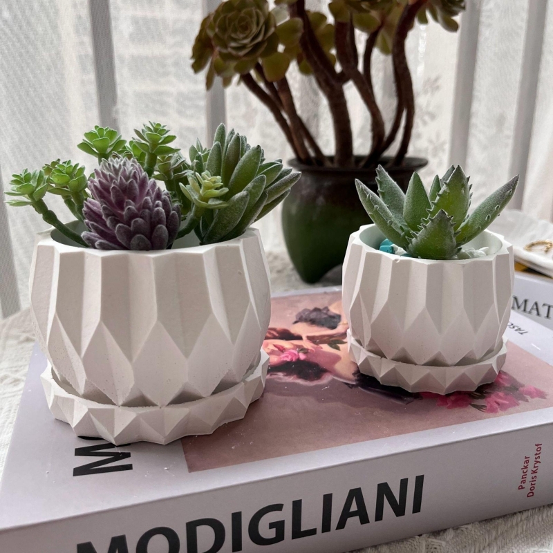 Geometric Diamond Flowerpot Co - مراجعة Idli Steamer Mold وسعره